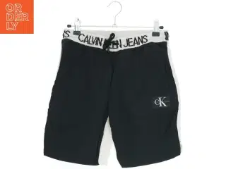 Calvin Klein Jeans shorts i kontrastfarver fra Calvin Klein (str. 164)