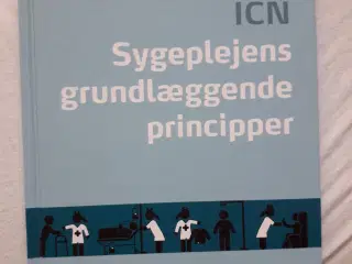 ICN, Sygeplejens grundlæggende principper