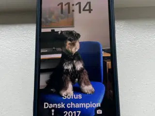 Iphone 12 mini Blå