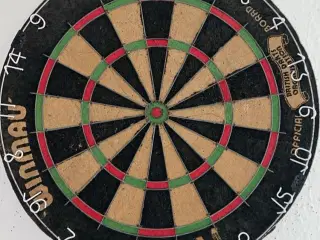 Dartskive + pile + masser af ekstra flights og sha
