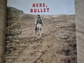 Here, Bullet - Brian Turner