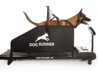 Dog Runner løbebånd til hunde 