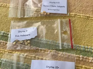 3 slags chili frø