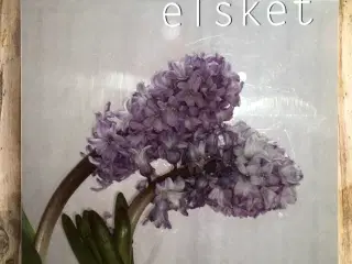 Jeg har elsket, Anna Gavalda, genre: romantik