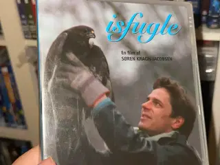Isfugle i folie