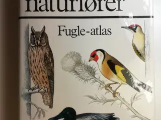 Lademanns naturfører - Fugle-atlas