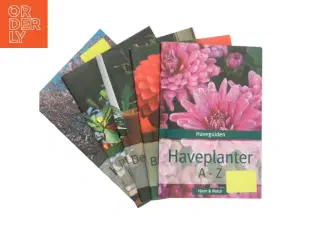 Haveguiden: Haveplanter A - Z af Ukendt (Bog)