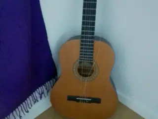 Guitar, akustisk.