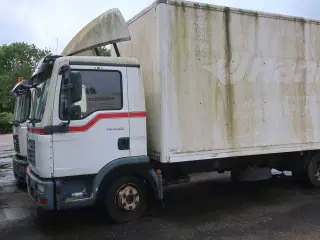 Lastbil MAN TGL 8.180