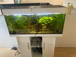 Akvarium  165 l med alt
