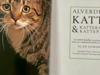 Bog Kattepleje og katteracer 