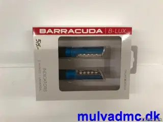 Barracuda blink blå