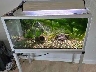 Akvarium 80 liters 