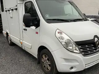 Renault Master Hestetransporter