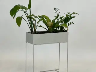 Moderne Plantekasse