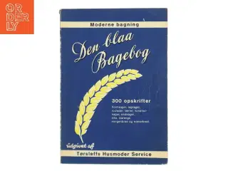 Den blaa Bagebog (Bog)