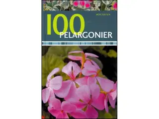 100 Pelargonier