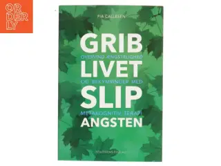 Grib livet - slip angsten : overvind ængstelighed og bekymringer med metakognitiv terapi af Pia Callesen (Bog)