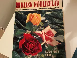 Dansk Familieblad