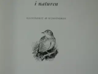 med johannes larsen i naturen - nr. 2343, af ole v