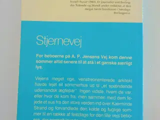 Stjernevej. Af Lise Nørgaard