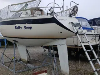 Schamrock club 30 fod med ståhøjde