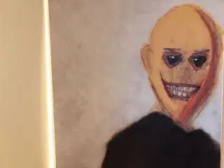 Den skaldede mand