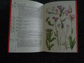 Lademanns naturfører – Farve - flora
