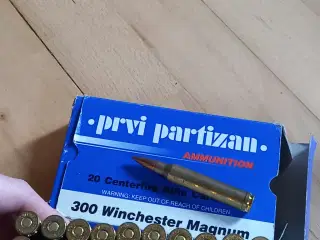 300wm ammo