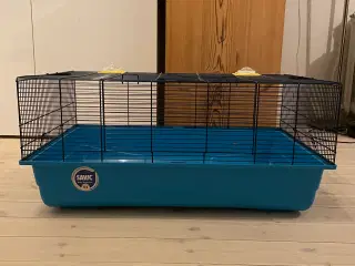 Hamster bur