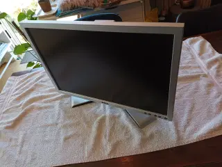 Dell skærm
