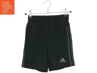 Adidas shorts (str. 116 cm)