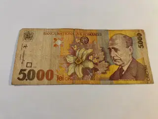 5000 Lei Romania