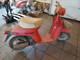 Lade fund Honda mini