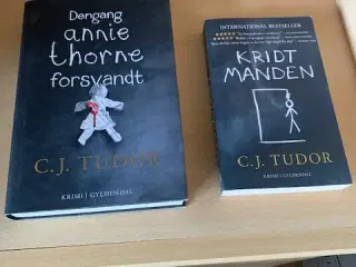 4 Bøger - Den kvindelige Stephen King