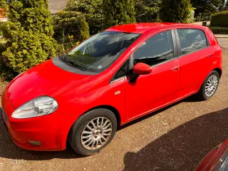 Fiat punte (freash)