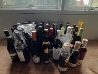 Vin