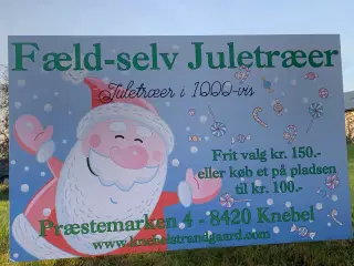 Fæld selv juletræer 