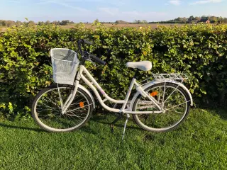 Velholdt retro pigecykel