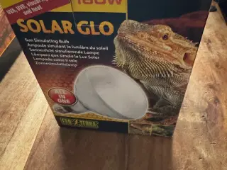 Solar glo 160w