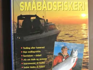 småbådsfiskeri, af niels vestergaard, emne: hobby 