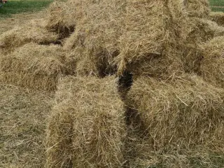 HØ