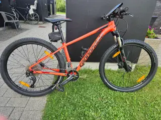 Lækker kvinde MTB