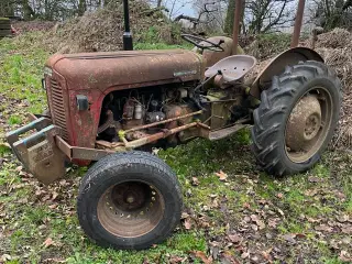 “Dumle” skal videre - Ferguson 35