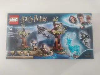 LEGO Harry Potter 75945