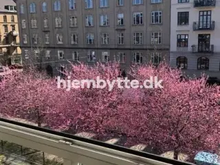 Hjembytte - SønderBoulevard