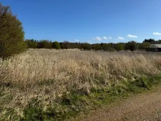 Stor fritidsgrund tæt på strand