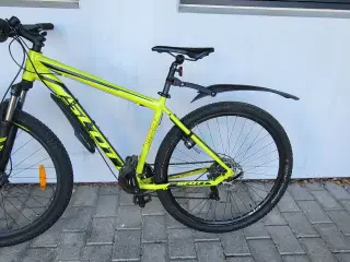 Hardtail