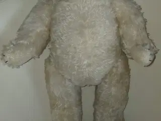 51 år gammel bamse 