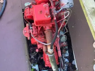 Båd med Bukh dv10 motor 